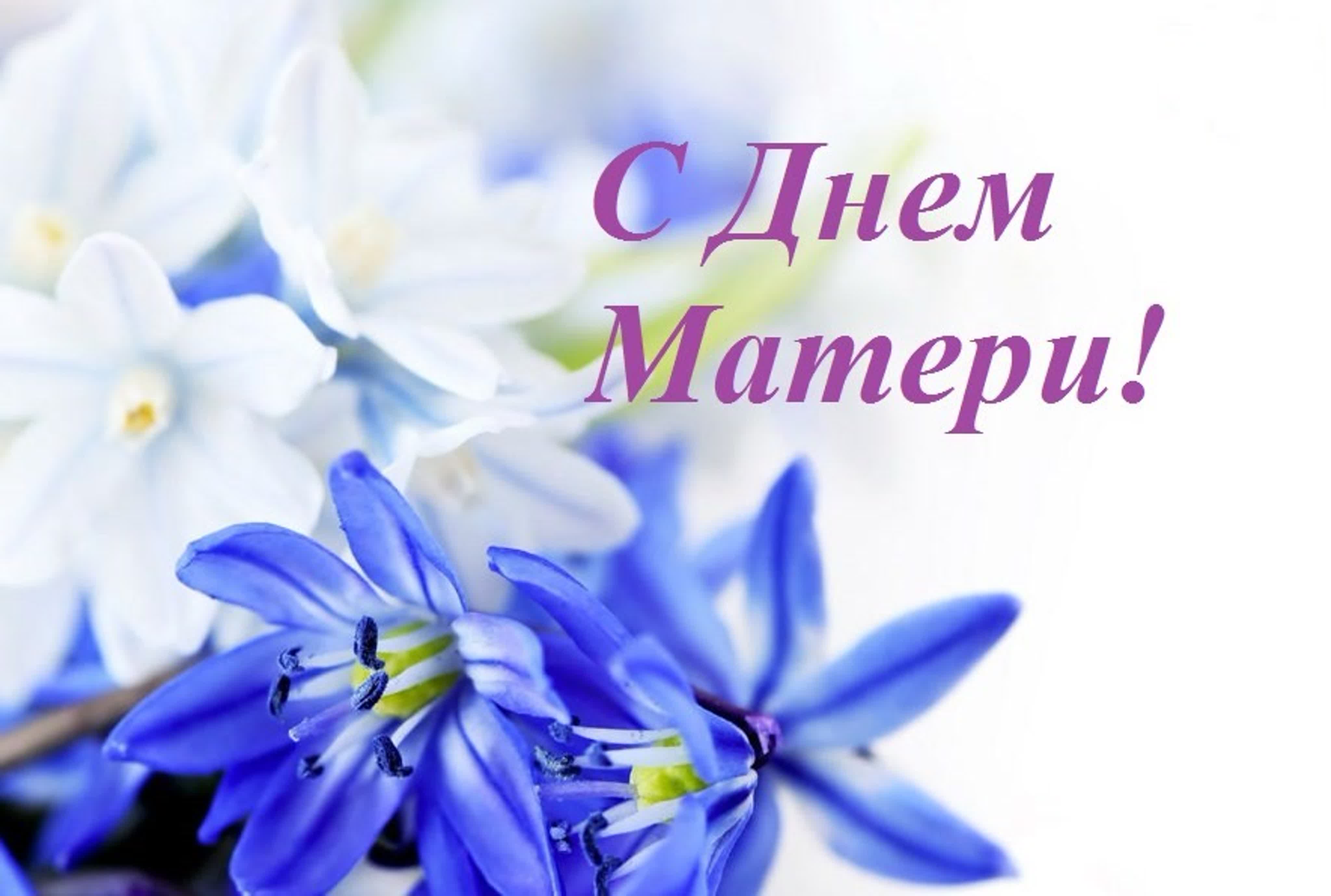 С Днем матери.