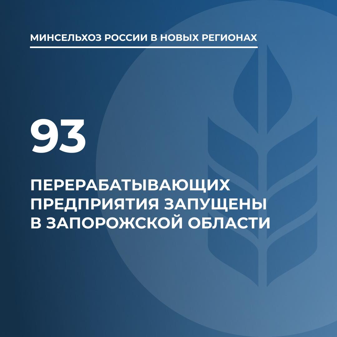 В Запорожской области запущены более 65% перерабатывающих предприятий.