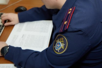  Возбуждено уголовное дело в отношении жительницы Бердянска,  подозреваемой в оскорблении представителя власти .